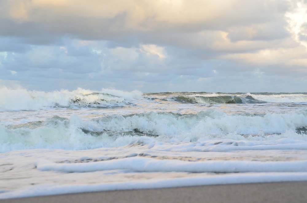 Photograph by Galina Baranovskaja