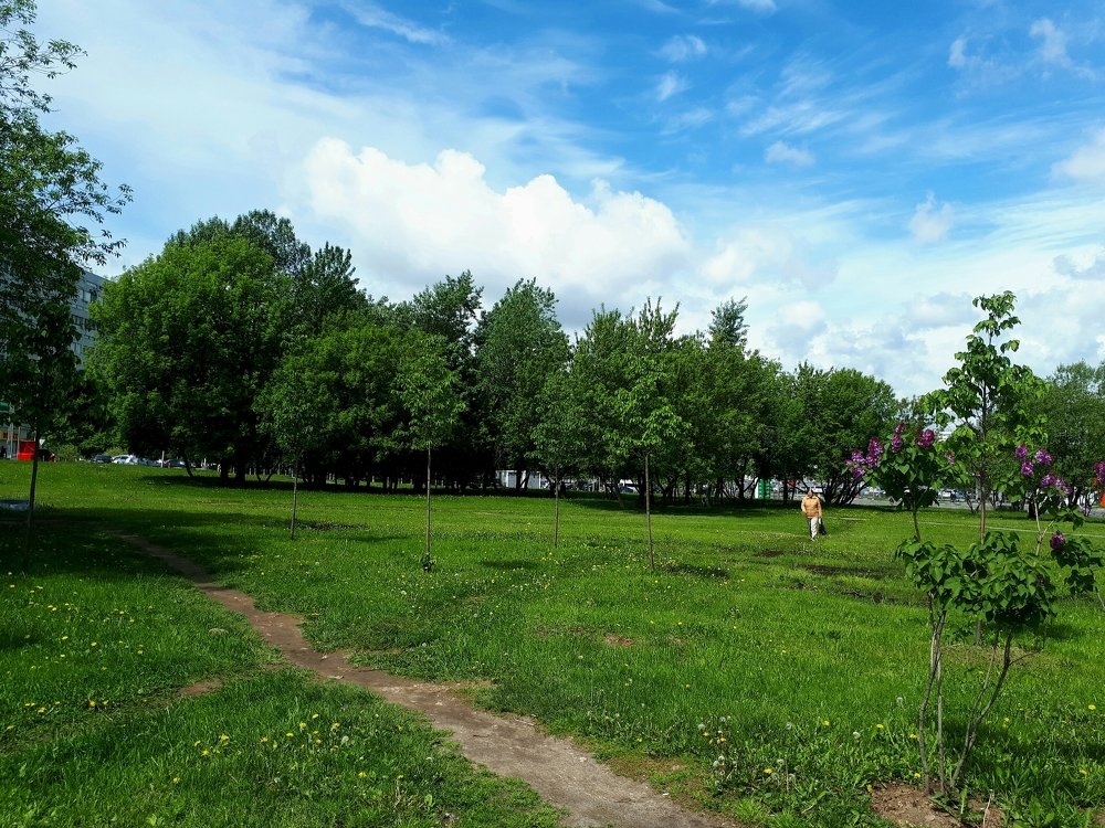 Photograph by Алина Веремеенко