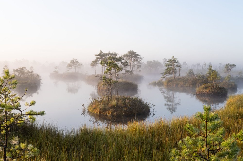 Photograph by Ирина Баранова