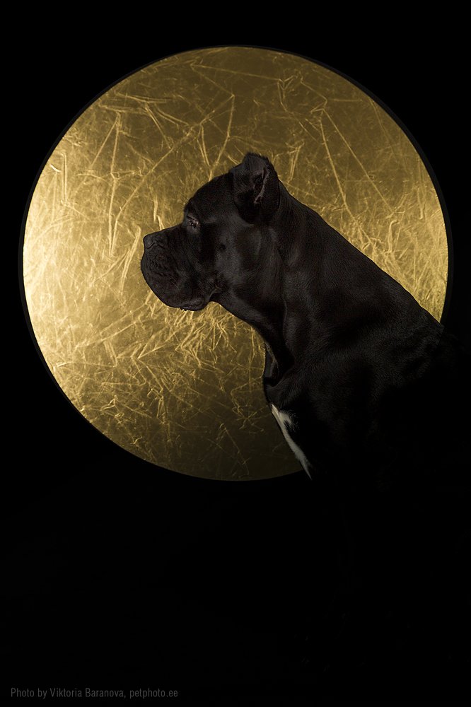 Photograph by Viktoria Baranova