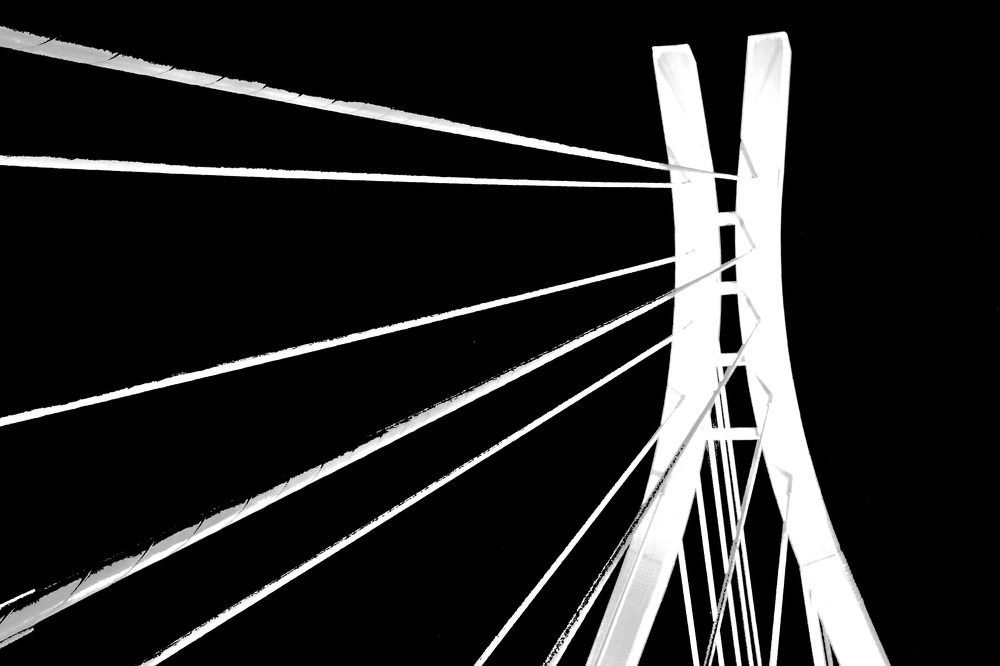 Photograph by  Hamid