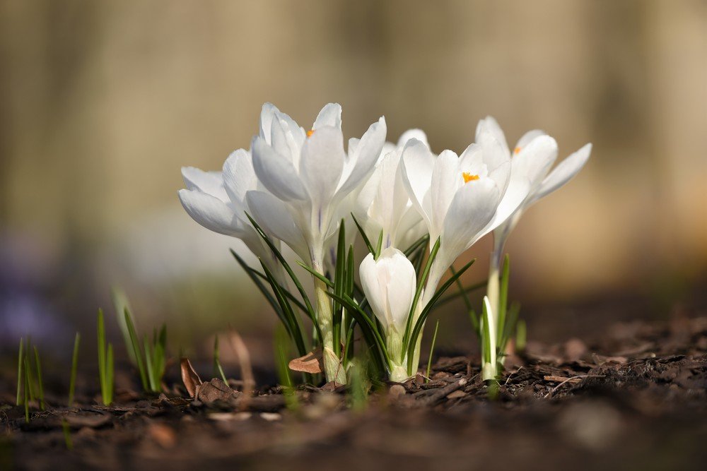 Photograph by Larisa Cekanaviсa