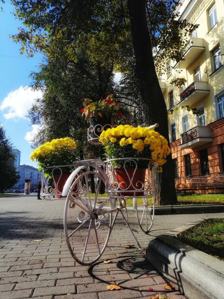 Photograph by Olga Haritonovich