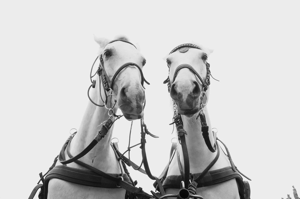 Photograph by Евгений Устинов