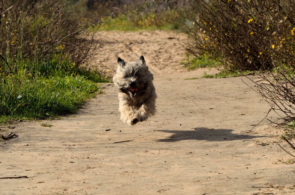 Photograph by Anatoliy Veysberg