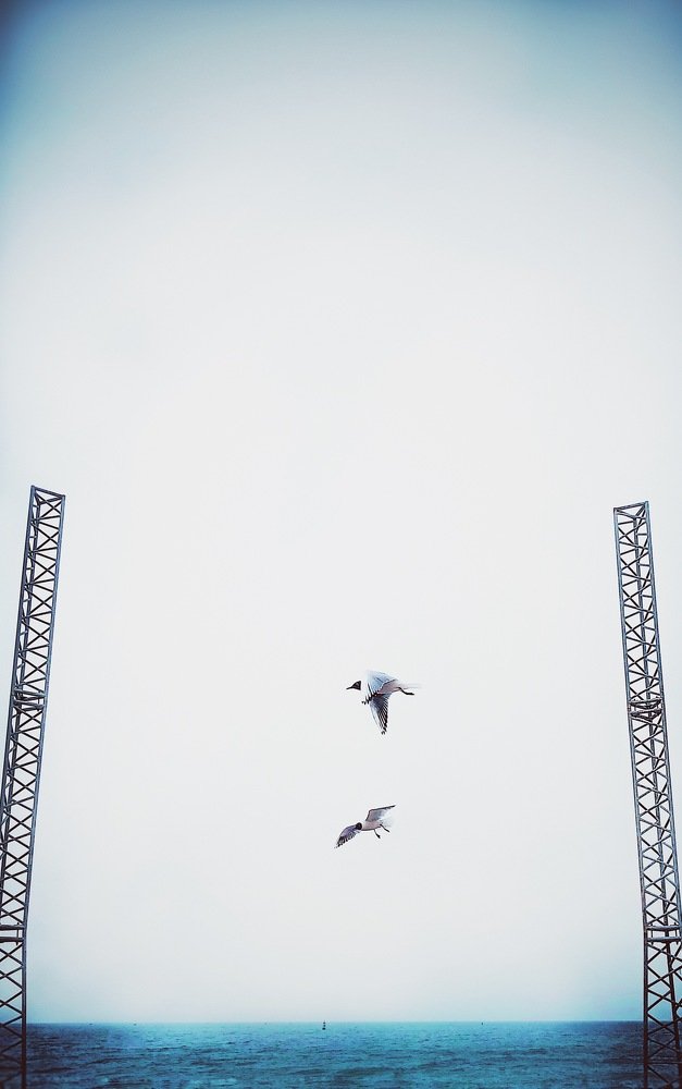 Photograph by Ольга Петухова