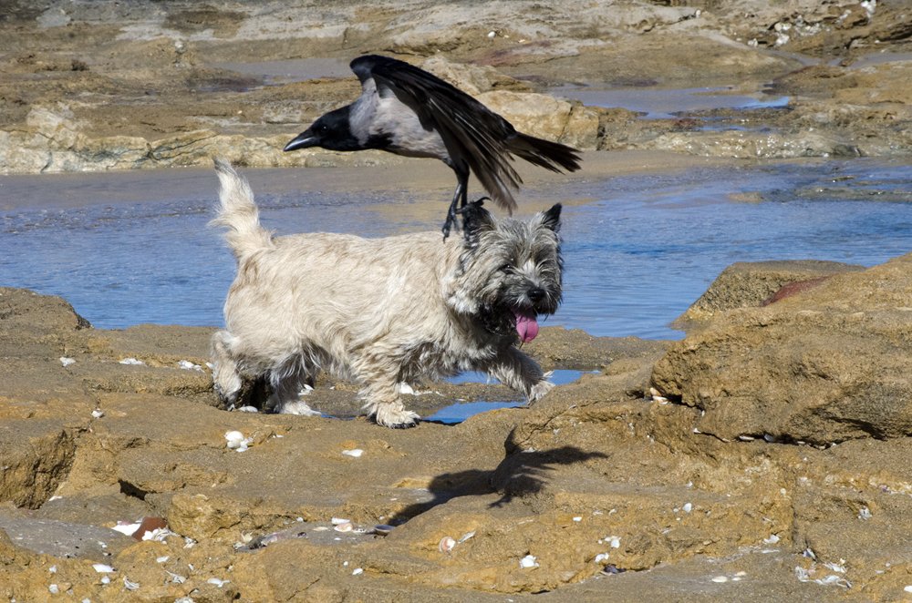 Photograph by Anatoliy Veysberg