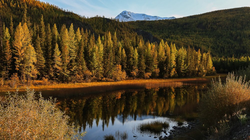 Photograph by Vladimir Schelkunov