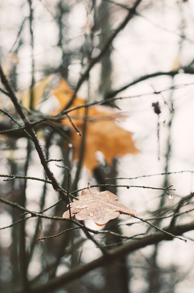 Photograph by Михаил Сушков