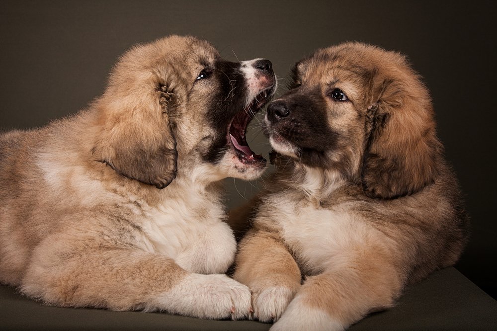 Photograph by Viktoria Baranova