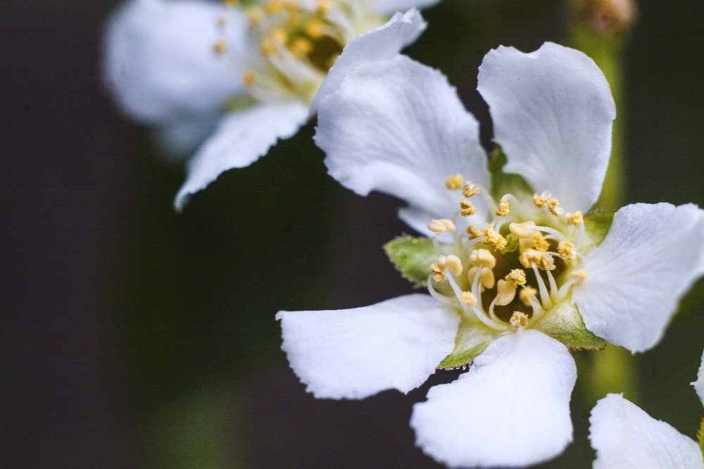 Photograph by Наталья