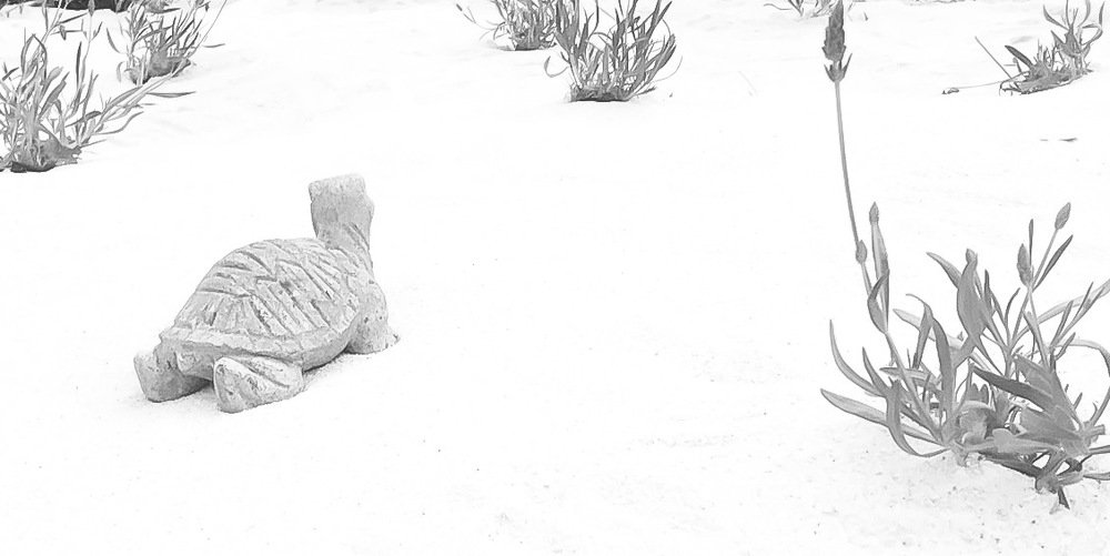 Photograph by Luka Mitrovic