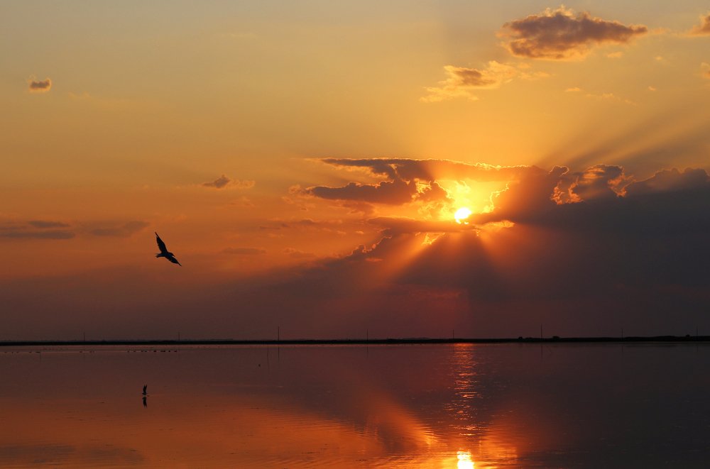 Photograph by Виктория Бурова