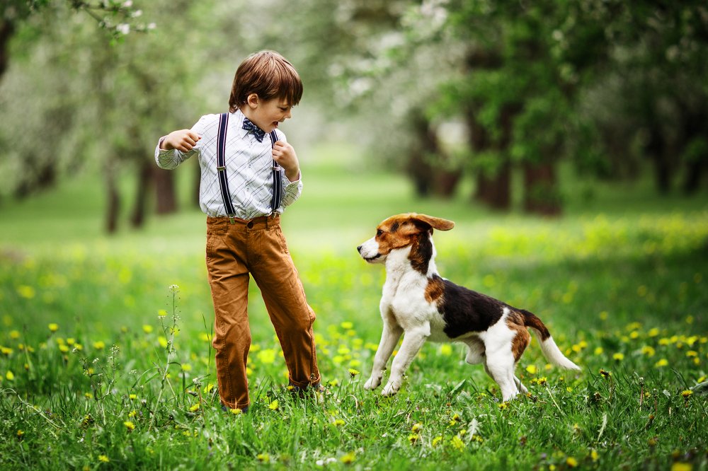 Фотография автора Гудкова Светлана