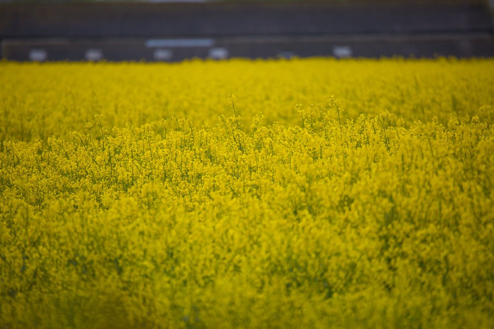 Photograph by Marcin Mirek