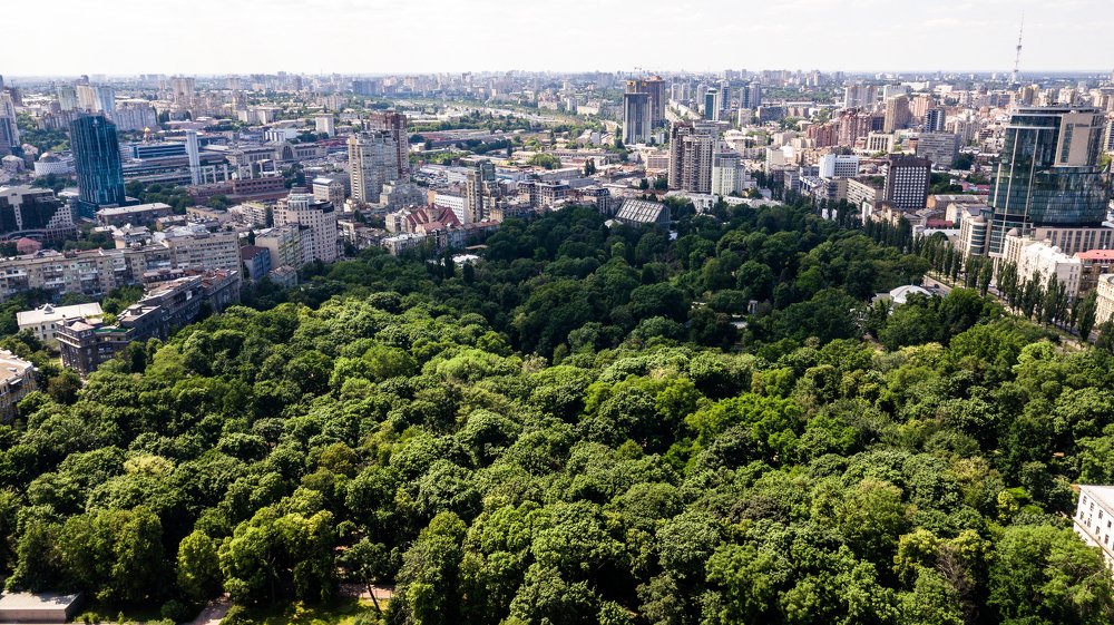 Green park surrounded by the city
