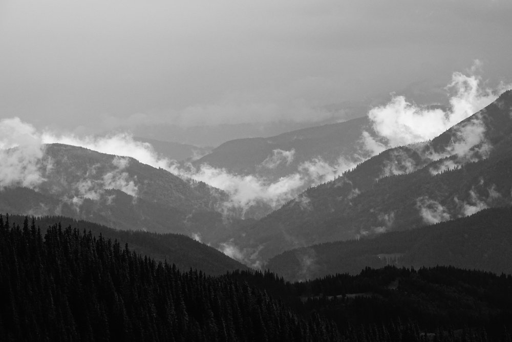 Фотография автора Remus Lucescu