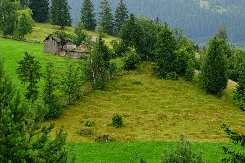 Фотография автора Remus Lucescu