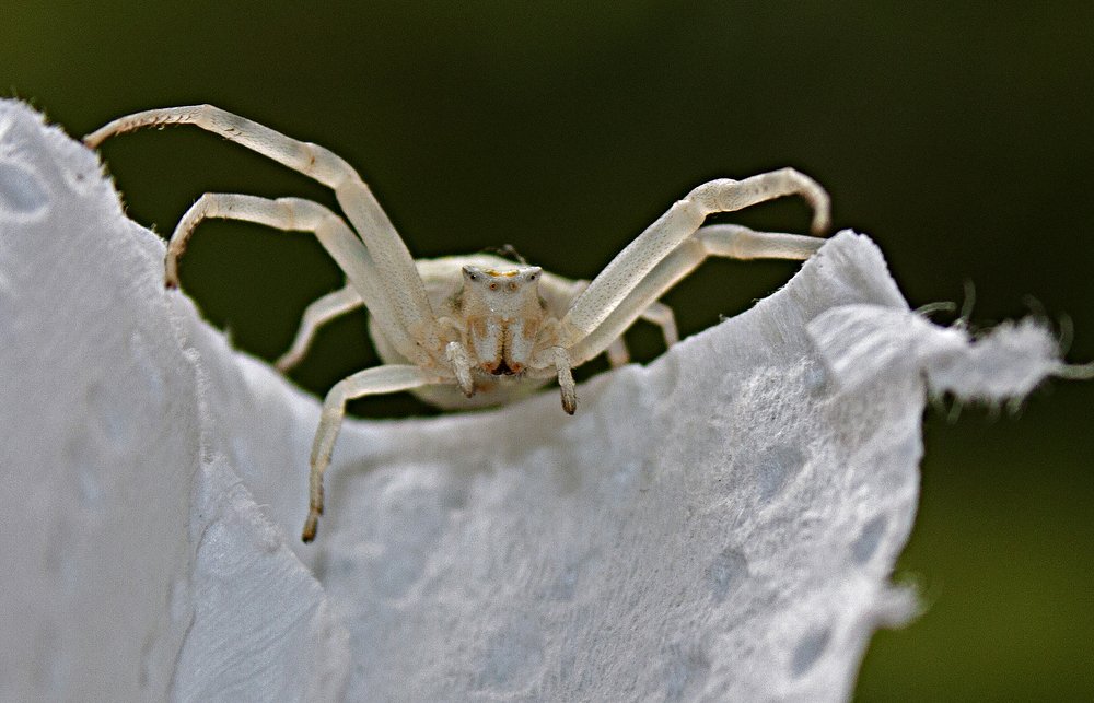 Photograph by Nihan Bayındır