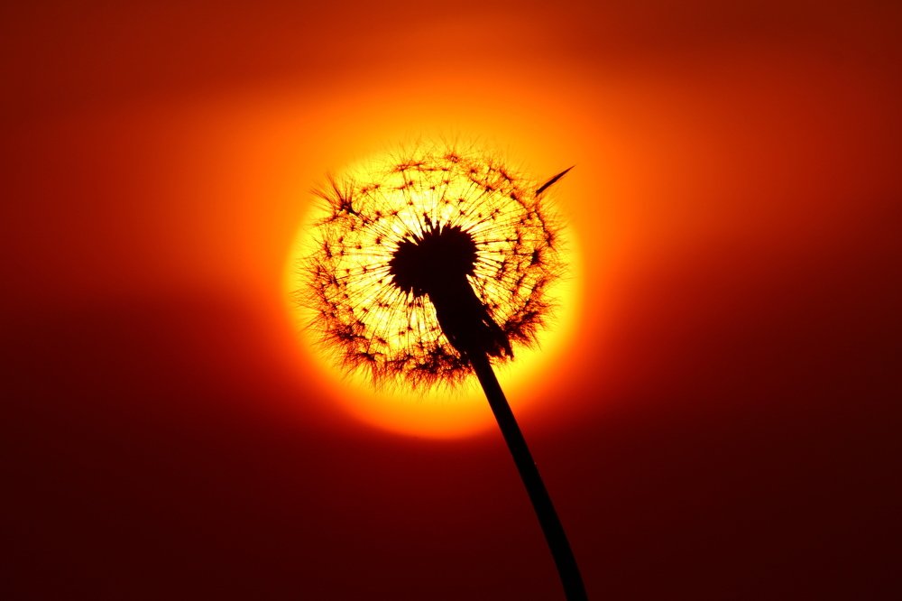 Photograph by Marcin Mirek