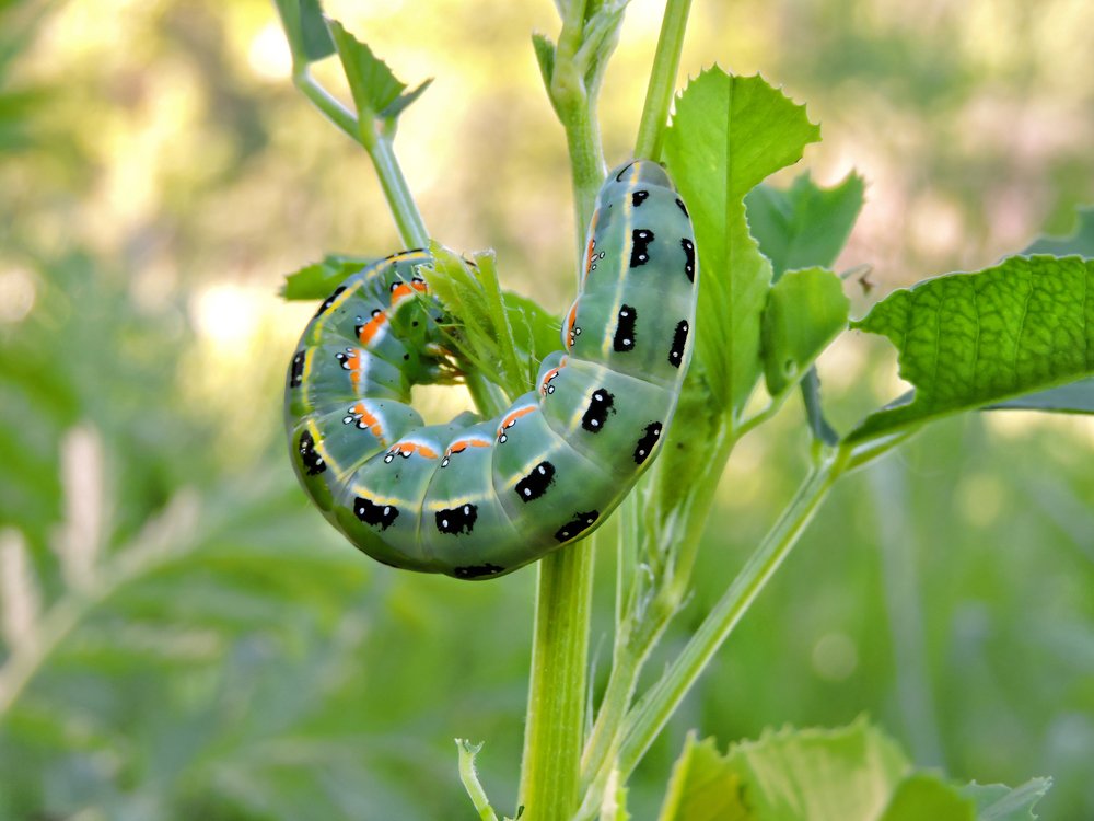 Photograph by Александр Захаров
