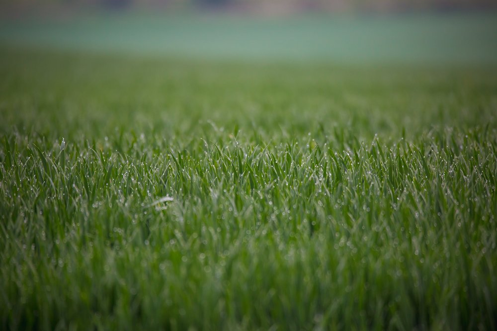 Photograph by Marcin Mirek