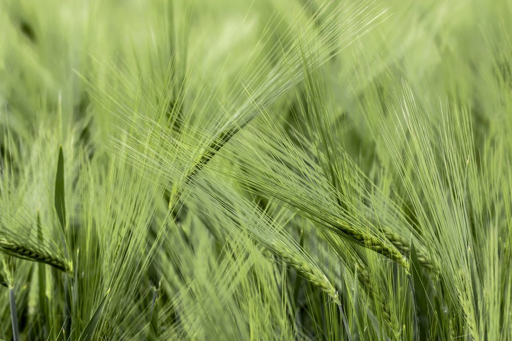 Фотография автора Lujza Stoklas