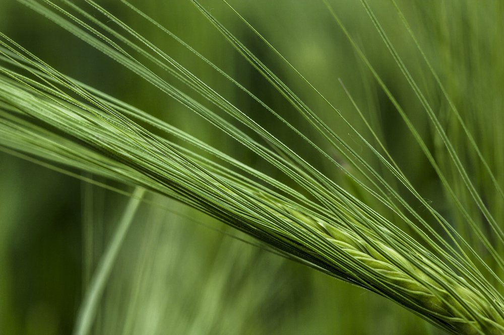 Фотография автора Lujza Stoklas