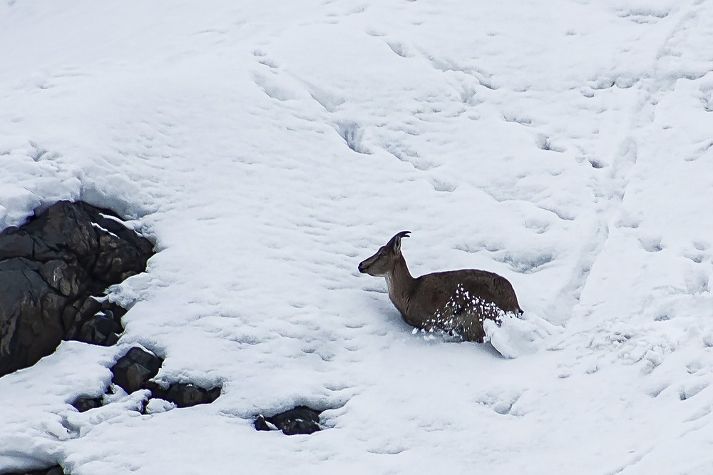 Photograph by Nihan Bayındır
