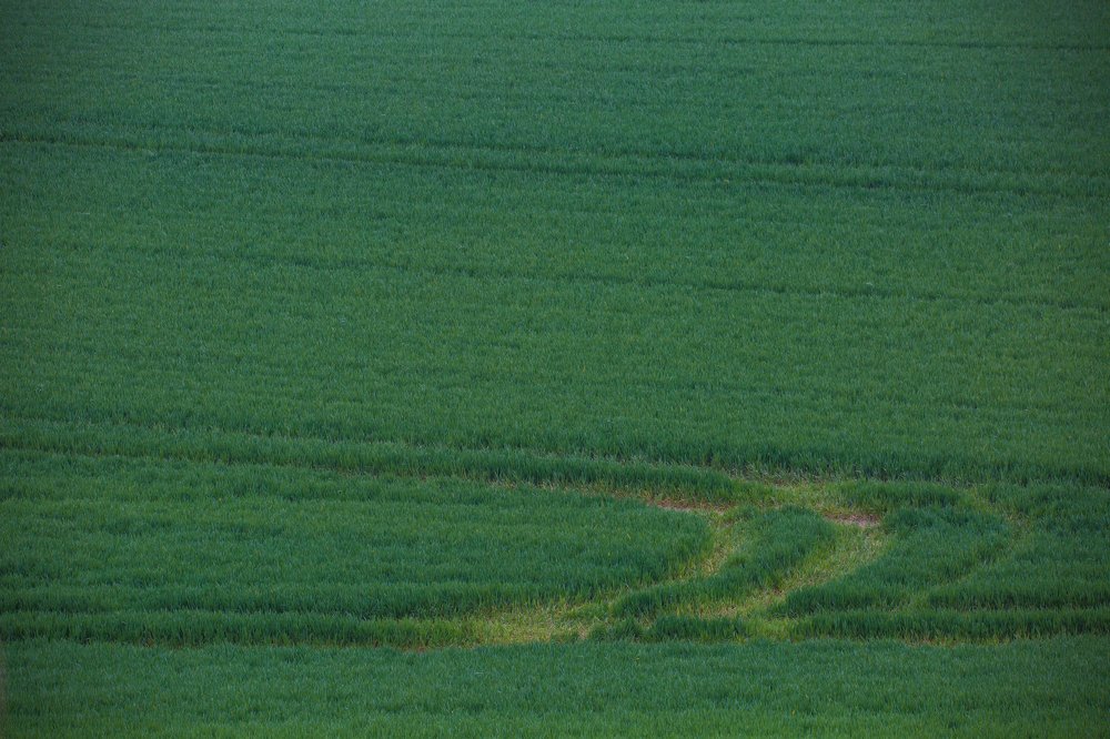 Photograph by Marcin Mirek