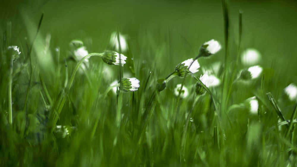 Фотография автора Lujza Stoklas