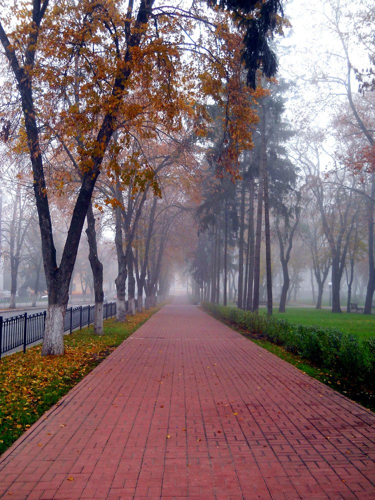 Photograph by Irina Dali