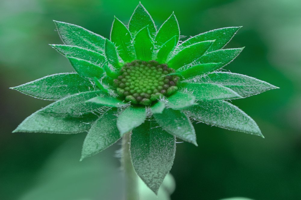 Photograph by Ana Vlahov