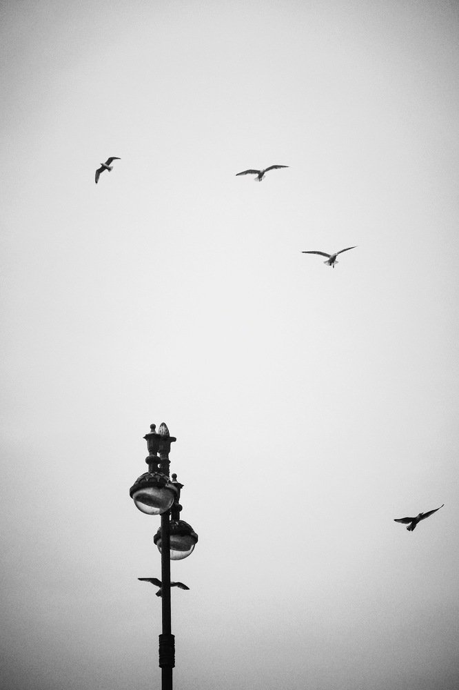 Photograph by Максим