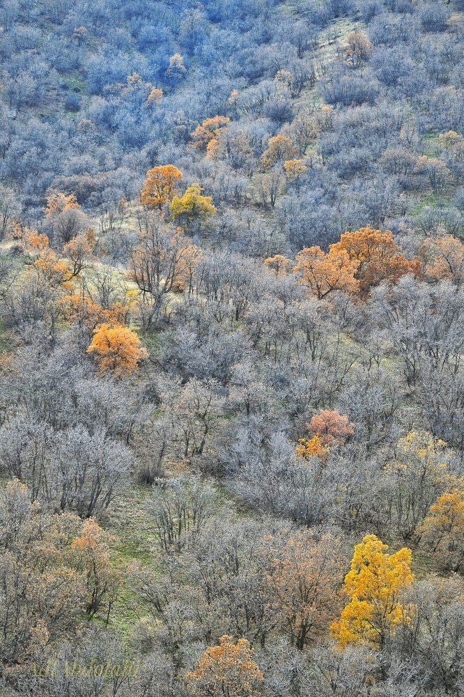 Photograph by Adl Abdolahi