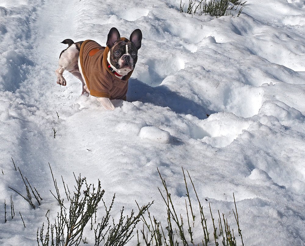 Photograph by DDiArte