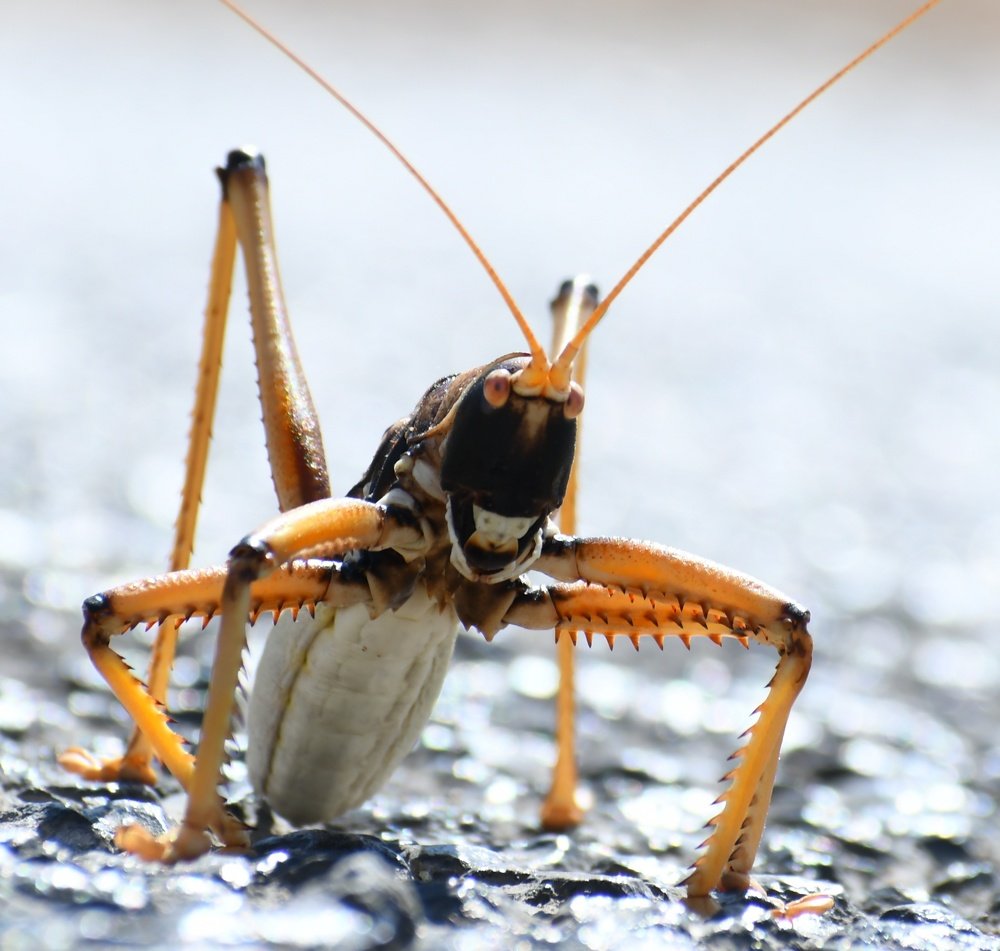 Photograph by Adl Abdolahi