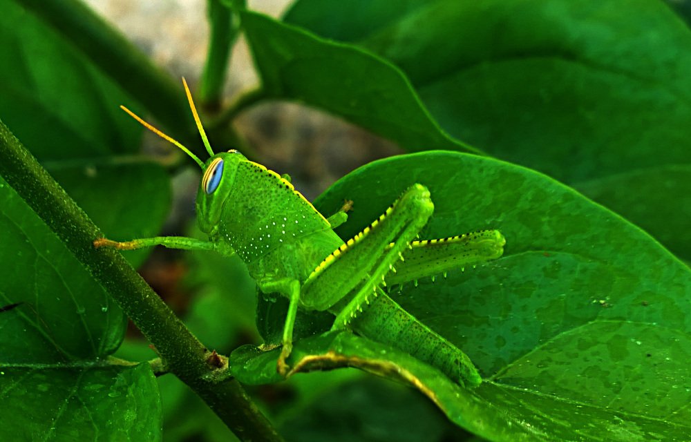 Photograph by Nihan Bayındır