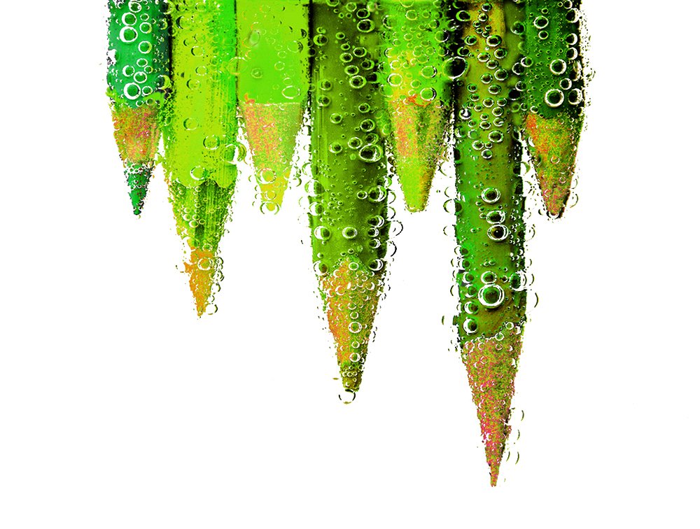 Photograph by Mario Fiorucci