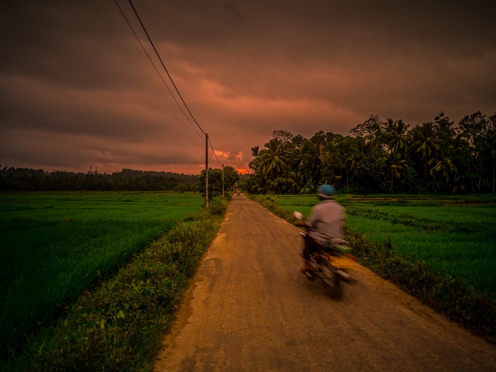 Photograph by pouyan safavi