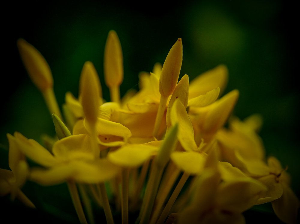 Photograph by pouyan safavi