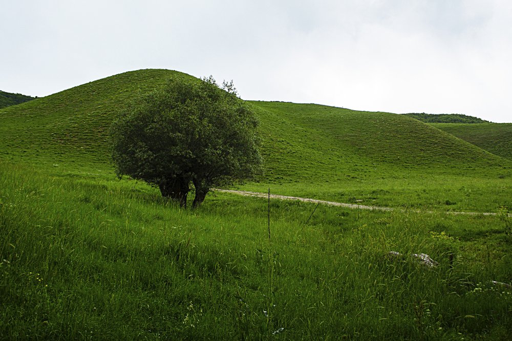 Photograph by Nihan Bayındır