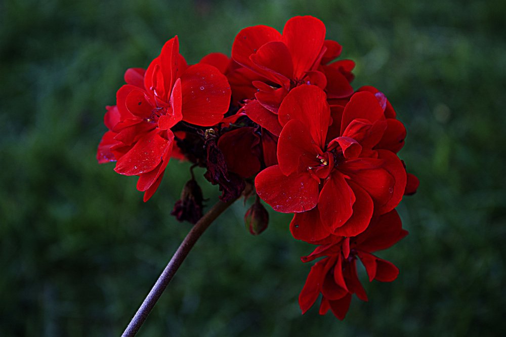 Photograph by Nihan Bayındır