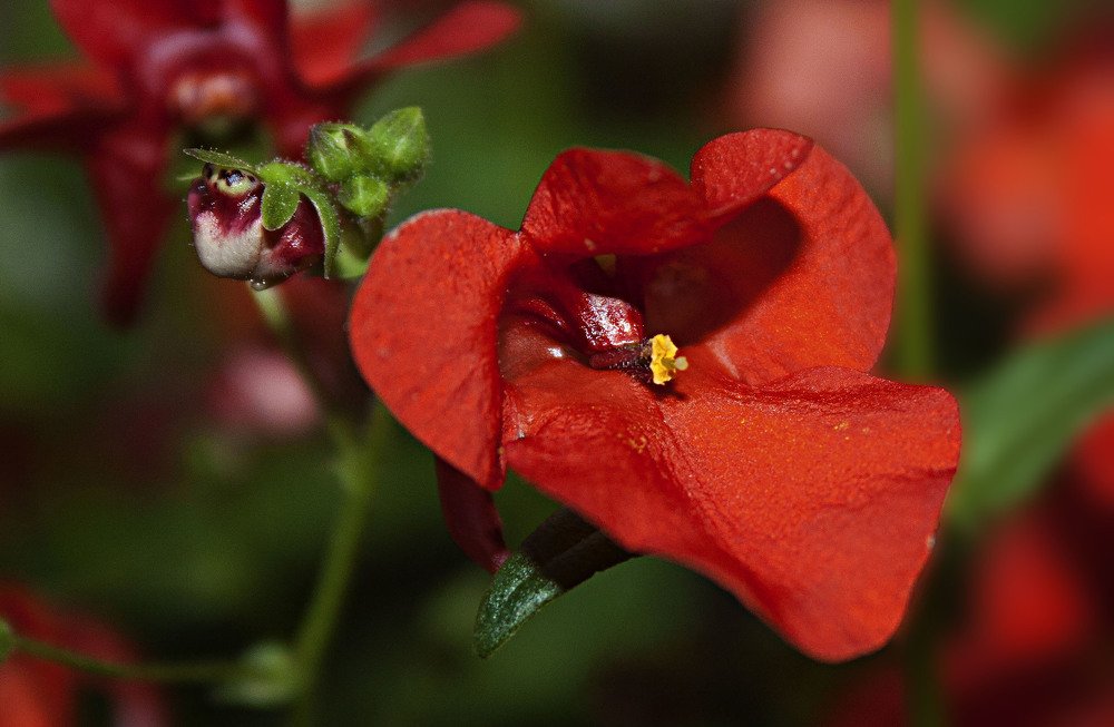 Photograph by Nihan Bayındır