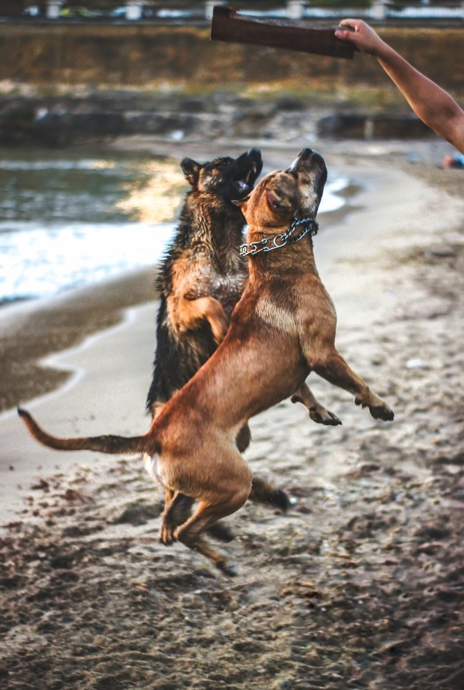 Photograph by  Amine