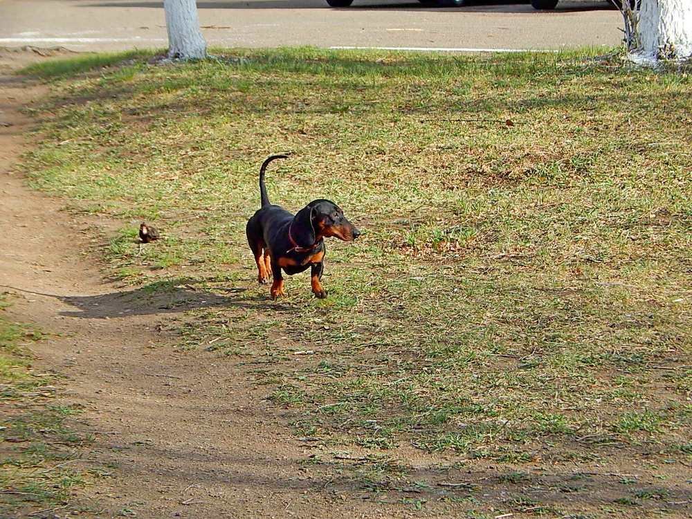 Photograph by Татьяна