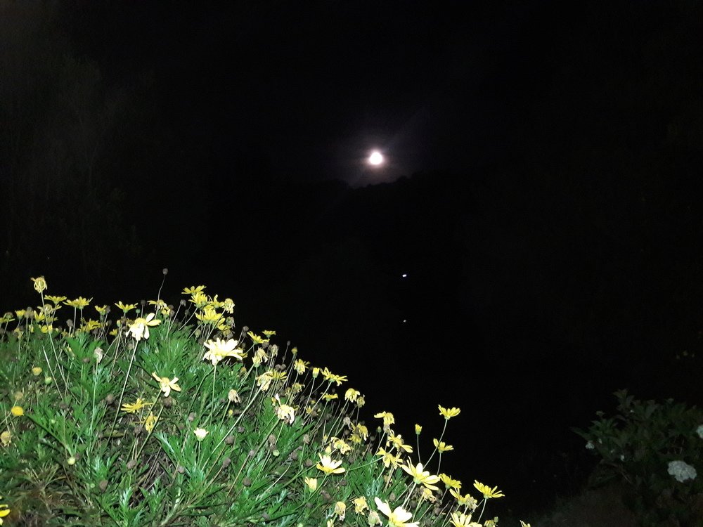 Photo #3644380
