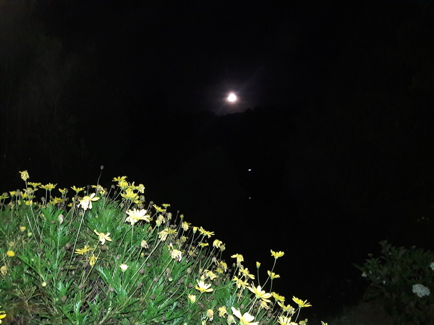 Photo #3644380