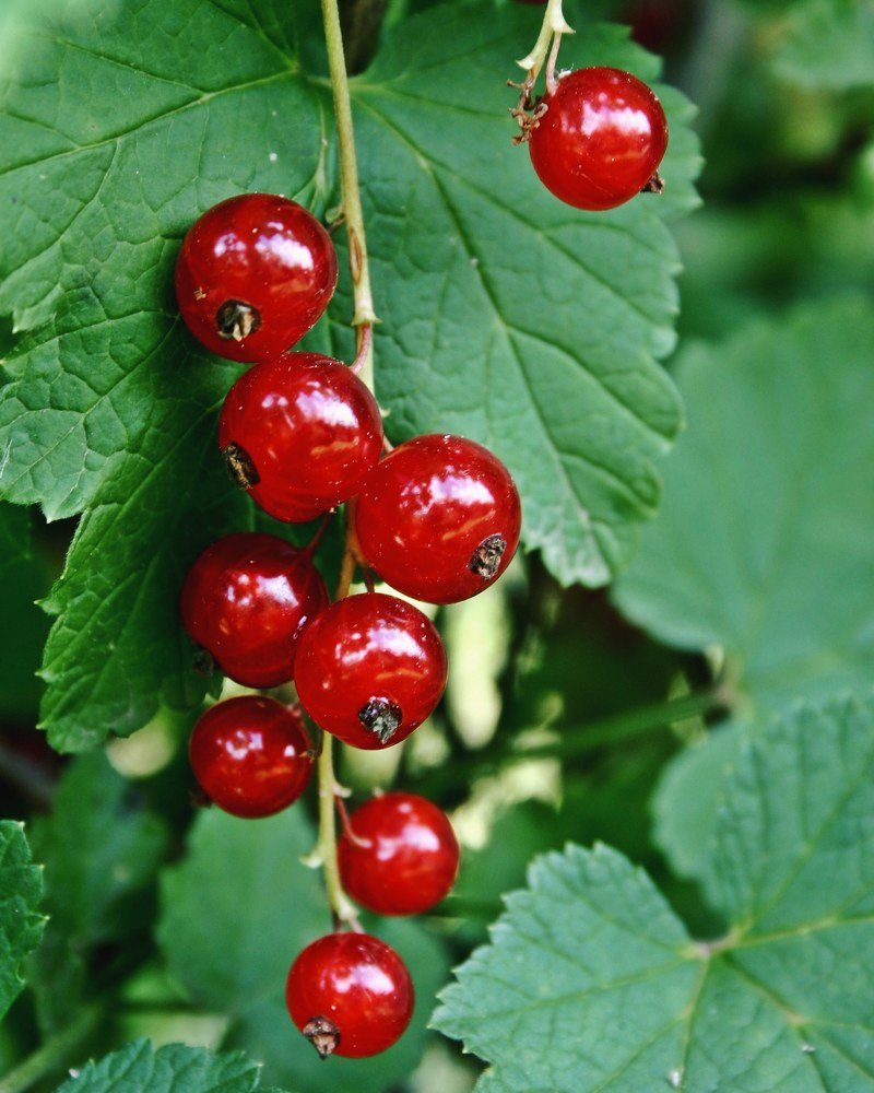 Photograph by Руслан Круглов