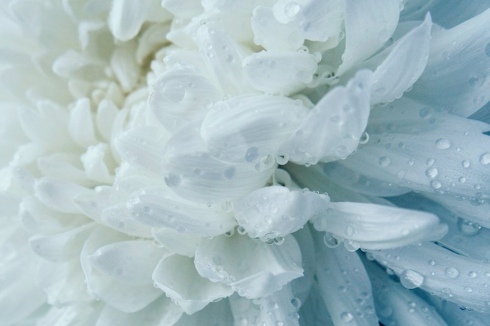 Photograph by Руслан Круглов